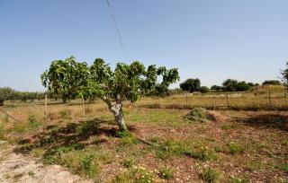 2 Bedroom Lovely Home In Comiso - 5