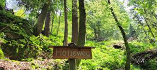 Ferienwohnungen Höflehof - Oppenau - 5