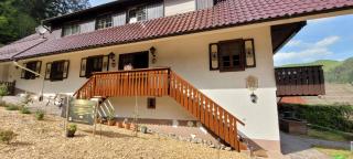 Ferienwohnungen Höflehof - Oppenau - 9