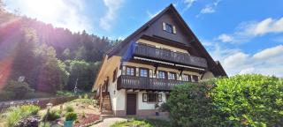 Ferienwohnungen Höflehof - Oppenau - 0