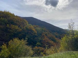 La casa nel bosco-Val Granara guesthouse - Filettino - 6