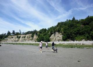 Serene Cottage with Views of Boundary Bay in Point Roberts, Washington - Point Roberts - 4