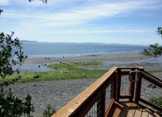 Serene Cottage with Views of Boundary Bay in Point Roberts, Washington - Point Roberts - 3