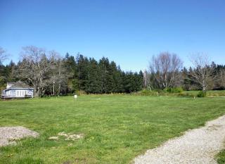 Serene Cottage with Views of Boundary Bay in Point Roberts, Washington - Point Roberts - 2