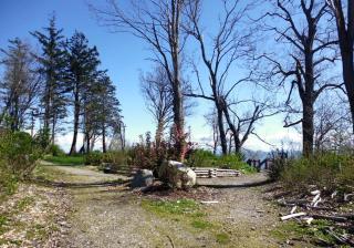 Serene Cottage with Views of Boundary Bay in Point Roberts, Washington - Point Roberts - 1