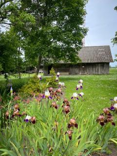 Lauku viesu māja Bajāri - Rucava - 9
