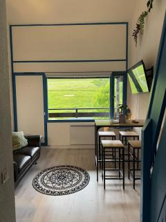 Duplex studio and balcony - Bogève - 2