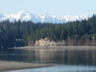 Rustic Cabin with a Pool and Hot Tub on Harstine Island in Washington - Shelton - 7