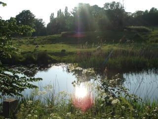 Spacious cottage with sauna looking out on astonishing grasslands - Brookland - 1