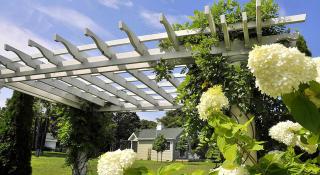 Elegant Cottage Rental on Maryland's Eastern Shore - Rock Hall - 2
