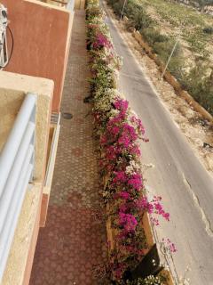 شاليه للايجار قرية ريتال فيو الساحل الشمالي - 4