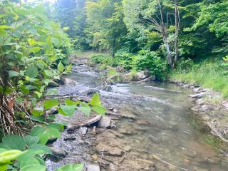 Willa Dolce Vita - 6