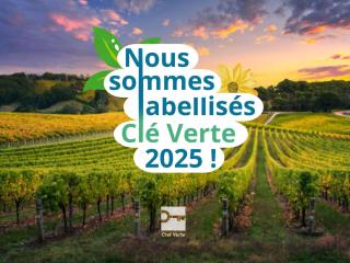 ibis budget Angoulême Nord - Champniers - 7