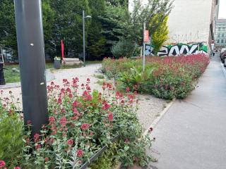 Gemütliches Apartment 60m2 mit Klimaanlage nahe Westbahnhof - Vienne - 5