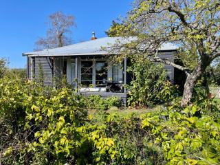 Havelock North Cottage on Organic Orchard - 9
