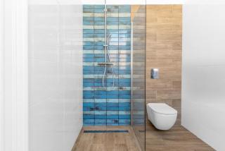 Blue Heritage - Oradea - 7