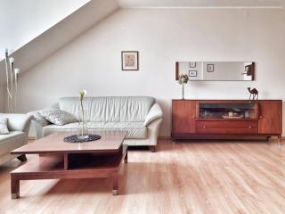 Izabelin Apartment - Zalasewo - 8