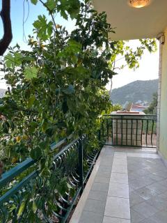 Apartment Moreno 2 with seaview - Poljica - 6