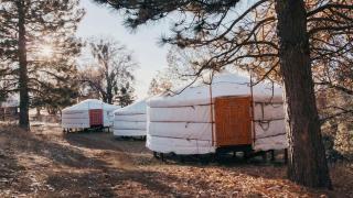 Authentic Mongolian Yurt in Sequoia National Forest, Perfect for a Glamping Retreat in Nature - Dunlap - 0