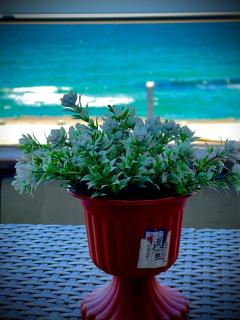 Luxurious Beachfront Apartment - Alexandria - 4