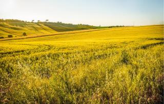 Amazing Home In San Vito In Monte - 3