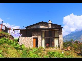 Himalayan Stay - Munsyari - 0