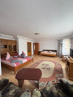 Casa Dany - Vatra Dornei - 2