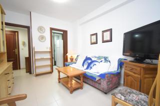 GEMELOS 12 19B2 - Fincas Arena - Benidorm - 5