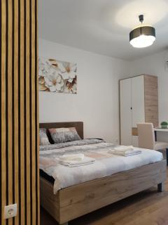 Alacaster B apartman - Novi Sad - 0