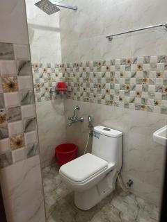 Krishna Gopuram Lodge - 5