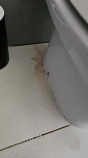 Eucaliptus - M'bour - 0