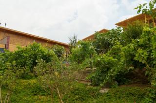 Wakan Farm Villas El Souda - مزرعة وكن الريفية - قرية شرمه - Muqammar - 1