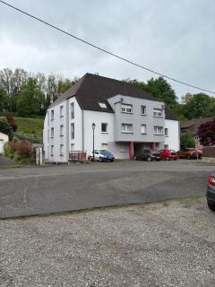 Studio Bartenheim proche de Bale - Bartenheim - 7