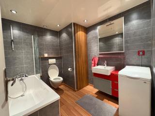 Studio Bartenheim proche de Bale - 6