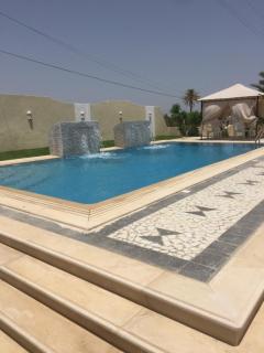 Dar BIBA - 6
