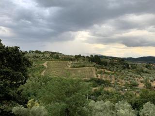 Stanza privata immersa nel verde - Molino del Piano - 4
