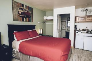 Luxury Suite Rentals with Wi-Fi near Great Sand Dunes National Park - Crestone - 7
