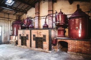 Le Domaine des Tilleuls - Mareuil - 6