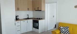 LC Apartments Universitate 73 - Suceava - 5