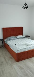 LC Apartments Universitate 73 - Suceava - 2