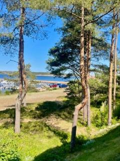 Seaside dream on Hvaler with sunny sea view - - 5