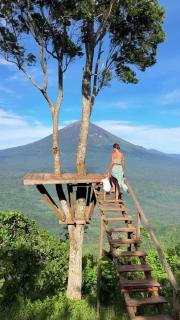 Ashmaya Homestay - Singtām - 2