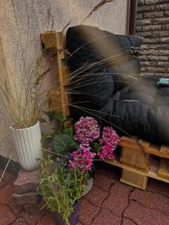 Cozy Melnrage - Melnragė - 1