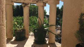 Apartment Jadranka - Split - 3
