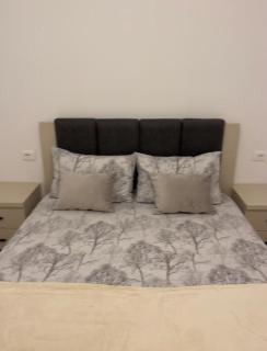 Rei Apartments 3 - Lezhë - 1