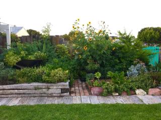 Garden Studio - 1