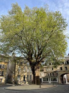 Bijou Beauty - Bath Abbey - Bath - 8