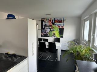 Business Apartment Nähe Uni Kaiserslautern - Kaiserslautern - 9