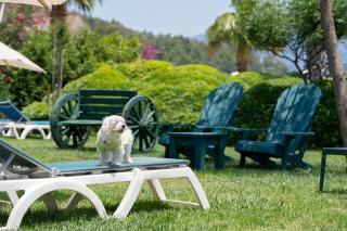 Marti La Perla - Adult Only+16 - 3