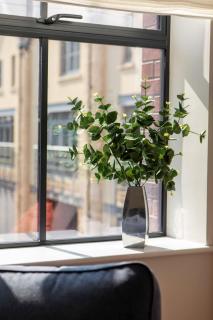 Bright open plan living - Bath - Free Parking - 5